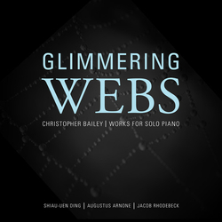 Bailey / Arnone / Rhodebeck / Ding Glimmering Webs CD