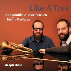 Kirk Knuffke & Jesse Stacken & Kenny Wollesen Like A Tree CD