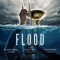 Wilson, Steve / Harris, Richard / Mays, Jovan Flood CD