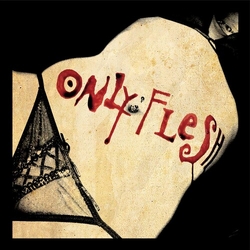 Only Flesh From The Gutter To The Grave CD