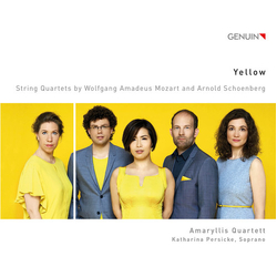 Mozart / Amaryllis Quartett / Persicke Yellow CD