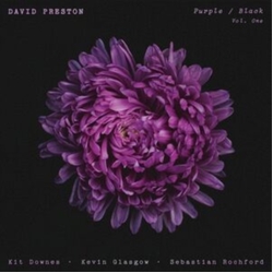David Preston Purple / Black Vol. One VINYL LP
