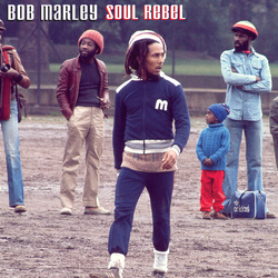 Bob Marley Soul Rebel VINYL 7"