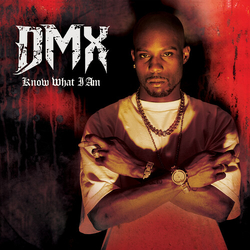 DMX Know What I Am VINYL 7"