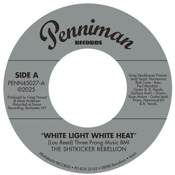 Shitkicker Rebellion White Light White Heat/99th Floor 7-INCH SINGLE