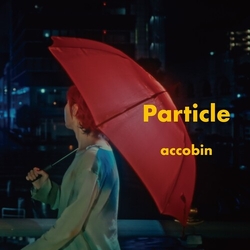 accobin Particle VINYL 7"