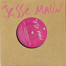 Jesse Malin Don't Let Them Take You Down VINYL 7"