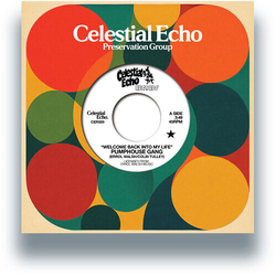 Pumphouse Gang Welcome Back Into My Life (w/ Medlar Edit) VINYL 7"