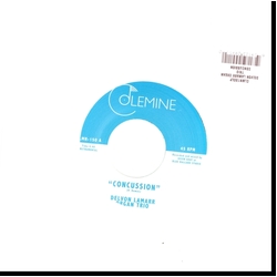 Delvon Lamarr Organ Trio Concussion / Memphis VINYL 7"