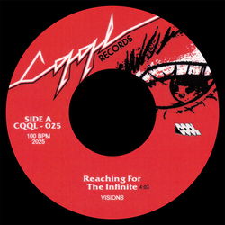 Visions Reaching For The Infinite B/w Back To Fire VINYL 7"