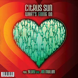 Citrus Sun What's Going On / WHAT COLOR IS LOVE VINYL 7"