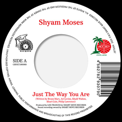 Shyam Moses & Tajh Just The Way You Are / The Lazy Song VINYL 7"