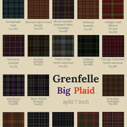 Ana Grenfelle / Gabriela Big Plaid / Capa De Revista VINYL 7"