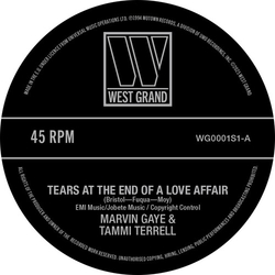 Gaye, Marvin / Terrell, Tami Tears At The End Of A Love Affair VINYL 7"