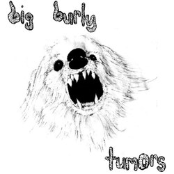 Big Burly Tumors VINYL 7"