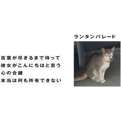 ランタンパレード 言葉が尽きるまで待って 7-INCH SINGLE