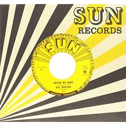 Roy Orbison You're My Baby / Rockhouse VINYL 7"