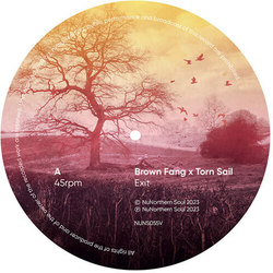 Brown Fang & Torn Sail Exit & Endless 7-INCH SINGLE