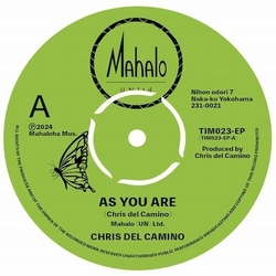 Chris Del Camino As You Are / Butterfly Monarch VINYL 7"