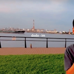 dodo Im 7-INCH SINGLE