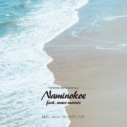 Toshiki Hayashi Naminokoe feat. maco marets VINYL 7"