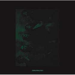 Other Lives Tamer Animals / Other Side VINYL 12"