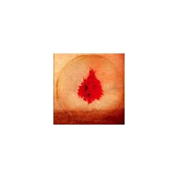 Adam Arcuragi Like A Fire That Consumes All Before It... VINYL LP