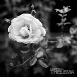 Thelema Growing O.S.T. VINYL LP