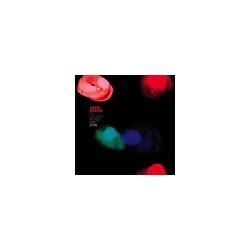 David Grubbs Optimist Notes the Dusk VINYL LP