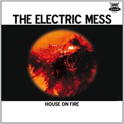 The Electric Mess House on Fire VINYL LP