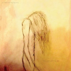 The Pretty Reckless Who You Selling For CD