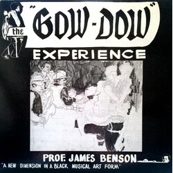 James R. Benson The Gow-Dow Experience Vinyl LP