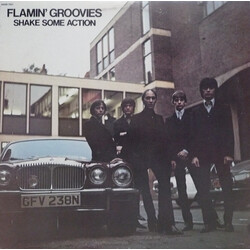 The Flamin' Groovies Shake Some Action