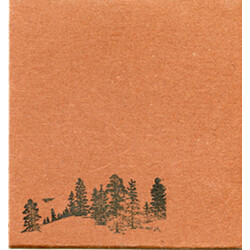 This Will Destroy You Young Mountain