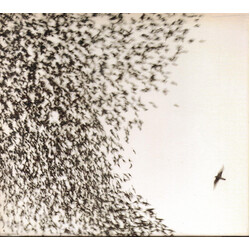 Wilco Sky Blue Sky