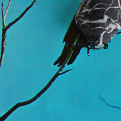 Tangents Stateless VINYL LP