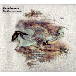 Júníus Meyvant Floating Harmonies