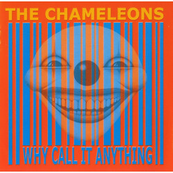 The Chameleons Why Call It Anything