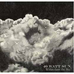 40 Watt Sun Wider Than The Sky Vinyl 2 LP