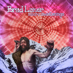 Brad Laner Micro​-​Awakenings