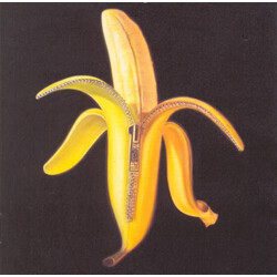 The Dandy Warhols Welcome To The Monkey House