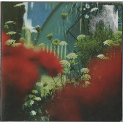 Pulled Apart By Horses The Haze