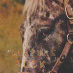 The Spirit Of The Beehive Pleasure Suck
