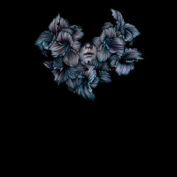 A Lot Like Birds Divisi