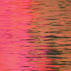 Silverstein Dead Reflection