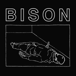 Bison B.C. One Thousand Needles