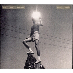 Mount Kimbie Love What Survives