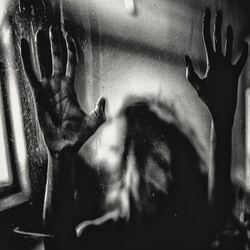Behind The Shadow Drops H a r m o n i c