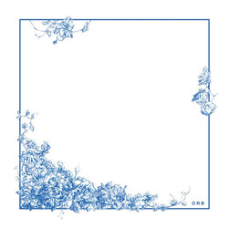 ORB (11) Naturality