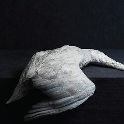 Amenra Mass VI